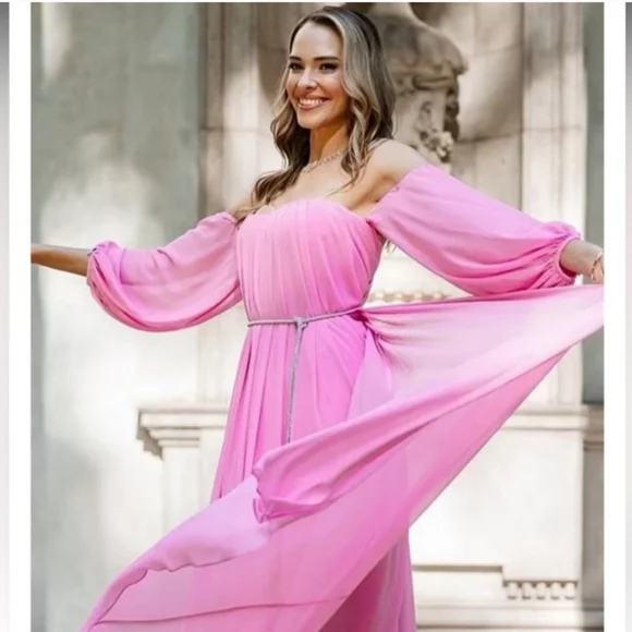 Antonio Melani  Capsule Stacy Chiffon Dress size 4 - Picture 5 of 12